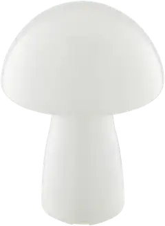 Erik LED / TL / 2,5W / 250lm / 2700K / DIM / VE4 - 3