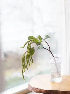 Tekokukka Bloom Deco Amarantti - 7