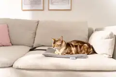 Beurer PP210 Lilli lemmikin lämpömatto S-koko - 7