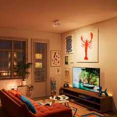 Philips Smart Lighting BOS kohdevalaisin GU10 5W RGB + säädettävä valkoinen 2 kpl kaukosäätimellä - 7