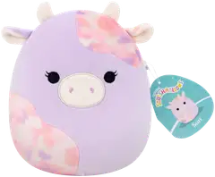 Squishmallows 19 cm P25 pehmo A ja C - 11