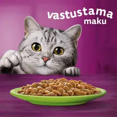 Whiskas 7+ Suosikit Lajitelma kastikkeessa (12 x 85 g) - 2