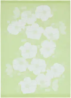 Finlayson keittiöpyyhe Rosa v.vihr/valk 2kpl 50x70 - 1