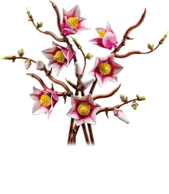 LEGO® Botanicals 11510 Magnolian oksat - 2