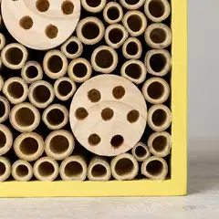 WildYard Big Bee Box mehiläistalo, keltainen - 3