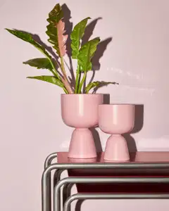 Iittala ruukku Nappula 190x125 mm matta ruusu - 3