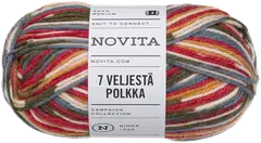 Novita lanka 7 Veljestä Polkka 100g aatto 8021 - 1