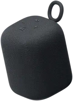 Sony langaton kaiutin LinkBuds Speaker SRS-LS1B musta - 1