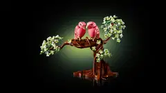 LEGO® Ideas 21365 Rakastuneet linnut - 10