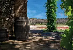 Waterform sadevesiastia Botaqua 250L - 2