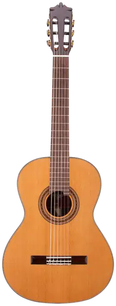 Martinez akustinen klassinen kitara 4/4 MC-58C - 1