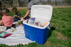 Igloo Laguna 27 l -kylmälaukku sininen - 6