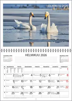 Ajasto seinäkalenteri Mappikalenteri - 2
