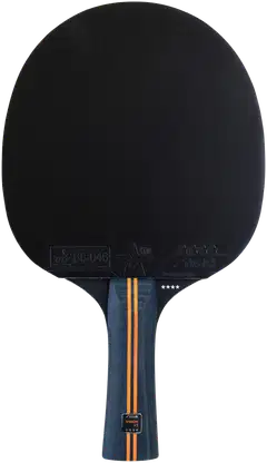Stiga pöytätennismaila Vision V2 - 2