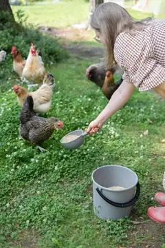 Orthex vesikauha 1 L - 6