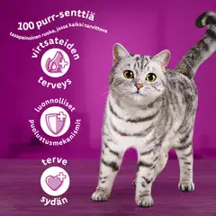 Whiskas 7+ Kanaa 800g - 5