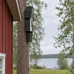 WildYard Big Bat Barn lepakkopönttö, 3 kammiota, setripuu, musta - 4