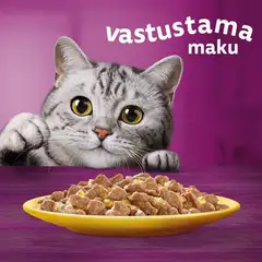 Whiskas 1+ sis. Kanaa hyytelössä (85 g) - 4