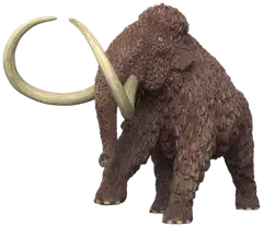 Schleich Mammutti - 2
