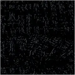 House naisten heijastavat säärystimet 214H322510 - BLACK - 2