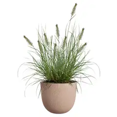 elho ruukku Sereh 25cm beige - 4