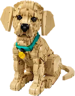 LEGO® Icons 11384 Kultaisen noutajan pentu - 2