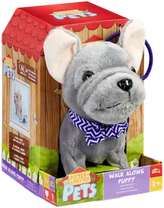 Happy Pets Ranskanbulldoggi koira - 2