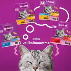 Whiskas 1+ Tonnikalaa 800g - 7