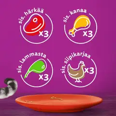Whiskas 7+ Perinteiset Ateriat kastikkeessa (12 x 85 g) - 3
