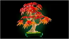 LEGO® Botanicals 10348 Punalehtinen japaninvaahtera-bonsaipuu - 5