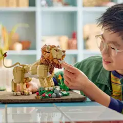 LEGO® Creator 31386 Villieläimet: uljas leijona - 8