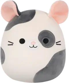 Squishmallows 19 cm pehmo A2 ja B2 - 3