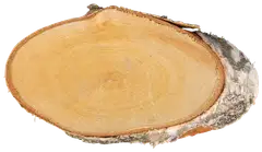 Rayher Hobby koivuviipale soikea naturaalinen, korkeus 21-23cm x 10cm x 2cm, laukku 1kpl - 1