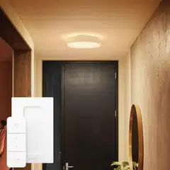 Philips Hue Enrave -kattovalaisin 19W 2200-6500K 2450LM keskikoko valkoinen - 9