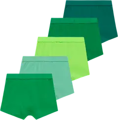 House lasten bokserit 231H082502 5-pack - green multicolor - 2