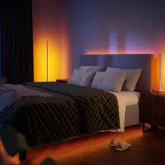 Philips Hue Gradient Signe -pöytävalaisin 12W 2000-6500K 1040LM tammi - 10