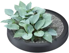 Waterform sadevesiastia Maze 240L antrasiitti - 3