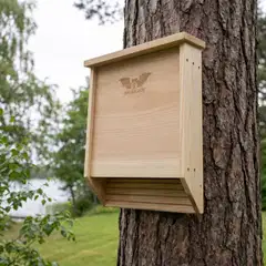 WildYard Big Bat Box lepakkopönttö, 2 kammiota, setripuu, luonnonvärinen - 2