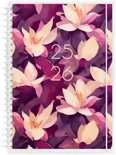 Burde Kalenteri 25/26 Study 4 in 1 - 1