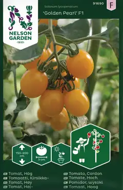 Nelson Garden tomaatti, Golden Pearl F1 - 1