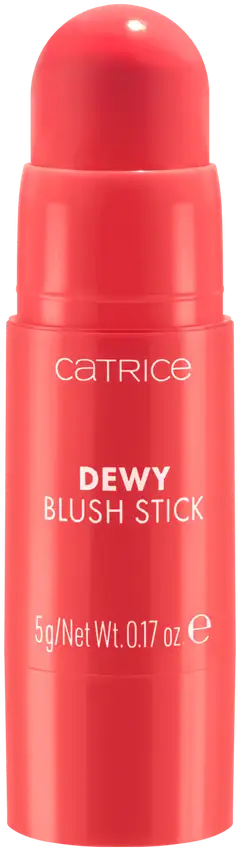 Catrice Dewy Blush Stick 010 Sheen On You 5 g - 2