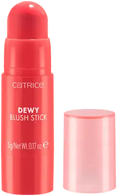 Catrice Dewy Blush Stick 010 Sheen On You 5 g - 3