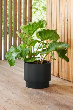 Orthex Paulina altakasteluruukku 40 cm - 4
