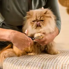 Fiskars lemmikin pyöreäkärkiset sakset - 5