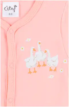 Ciraf vauvojen pyjama 250b242923 2-pack - goose aop / pale rosette - 3