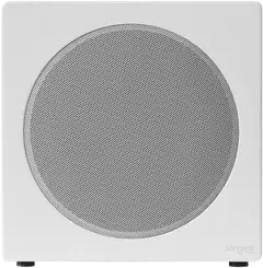 Tangent Spectrum II XSW8 aktiivinen subwoofer valkoinen - 2