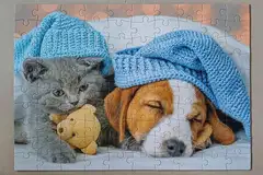 Tactic palapeli Cute Kitten and Sleepy Dog 100 palaa - 4