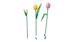 LEGO® Botanicals 11501 Tulppaanikimppu - 8