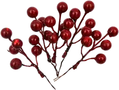 J.K. Primeco Koristemarjat punainen 5kpl/pkt - 2