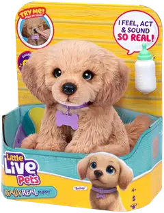 LLP My Really Real Daxie Puppy - 5